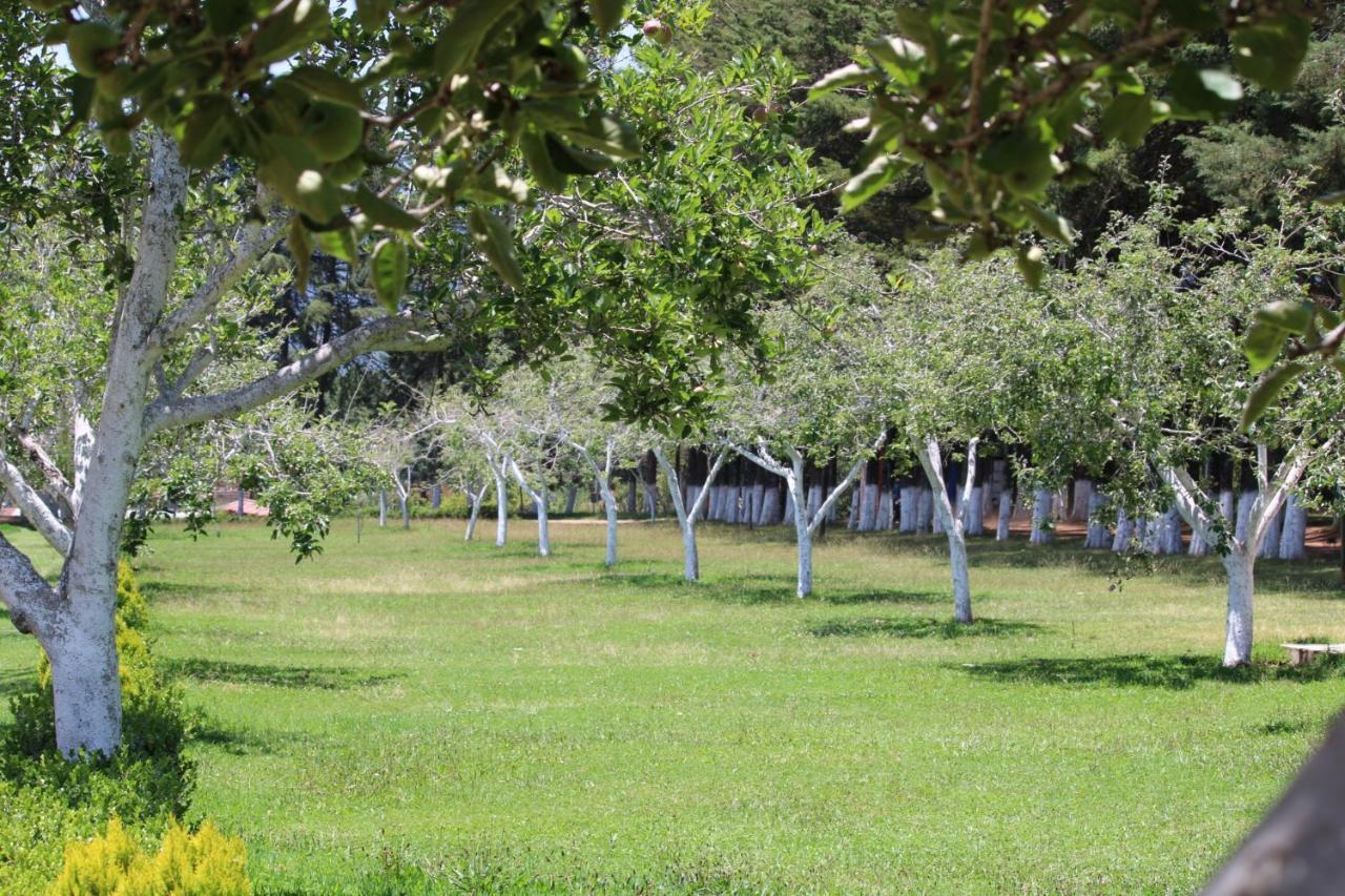 Cabanas Rancho El Mayab Zacatlán Eksteriør bilde