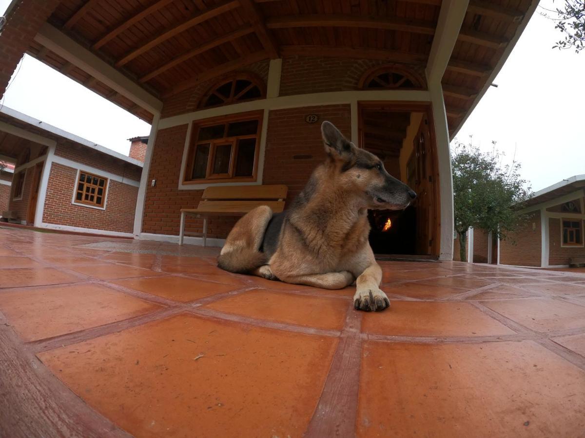 Cabanas Rancho El Mayab Zacatlán Eksteriør bilde