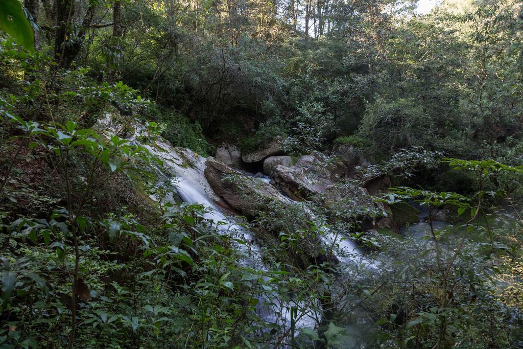 Cabanas Rancho El Mayab Zacatlán Eksteriør bilde
